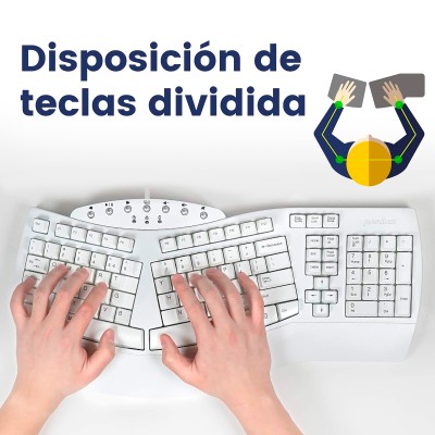 Teclado Ergonómico Usb Perixx 512 Multimedia